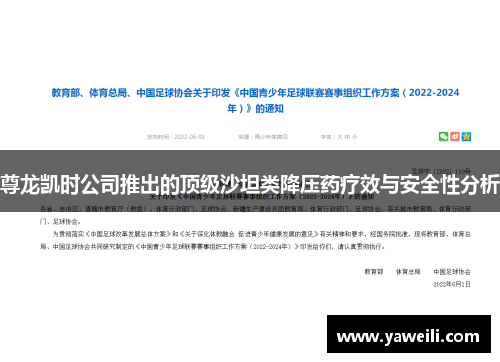 尊龙凯时公司推出的顶级沙坦类降压药疗效与安全性分析