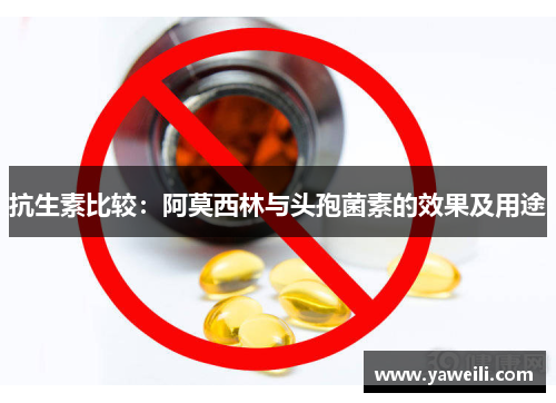 抗生素比较：阿莫西林与头孢菌素的效果及用途