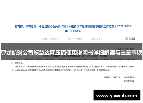 尊龙凯时公司施慧达降压药使用说明书详细解读与注意事项