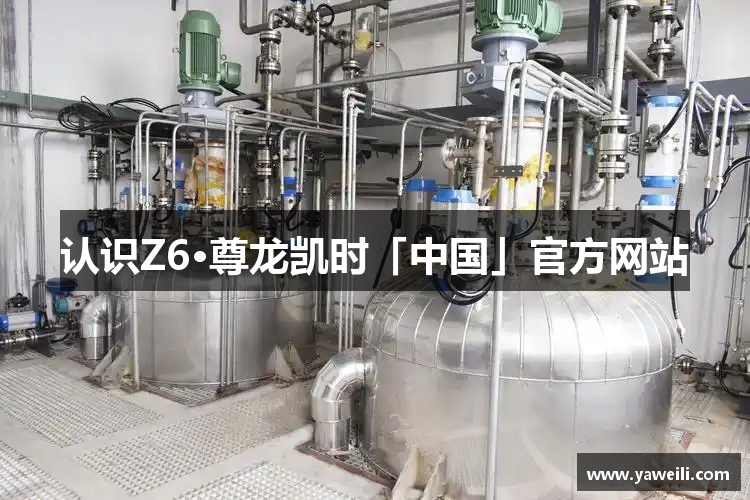 认识Z6·尊龙凯时「中国」官方网站